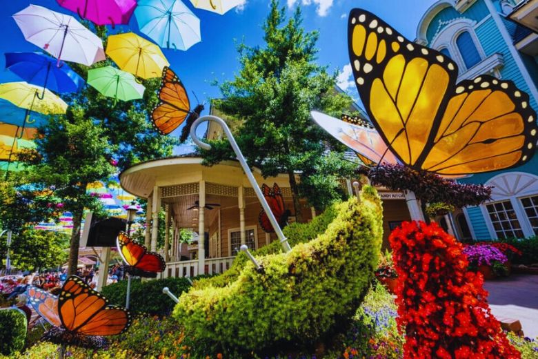 The Real Reason There are Butterflies Everywhere at Dollywood
